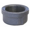 ¼ inch galvanized malleable iron threaded caps