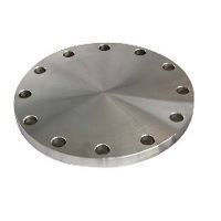 Picture of 16 inch Blind Class 300 Carbon Steel Flange